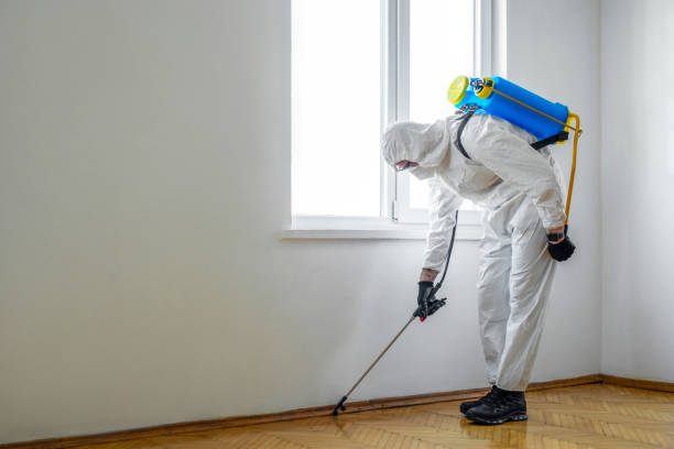 Best Pest Inspection Near Me  in Adelino, NM