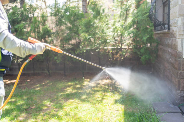 Best Exterminator Services  in Adelino, NM