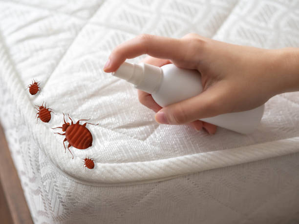 Best Best Pest Control Companies  in Adelino, NM